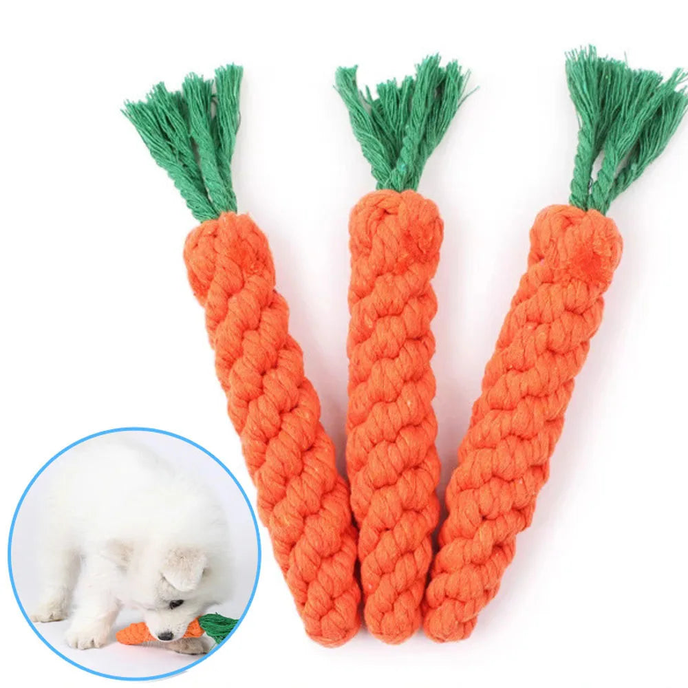 Carrot Dog Rope