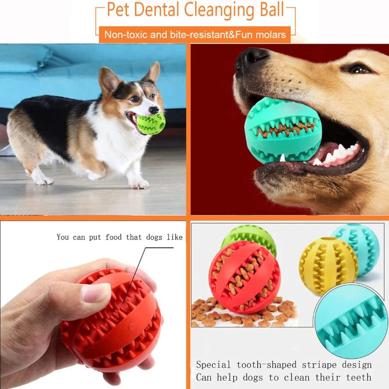Rubber Chew Ball