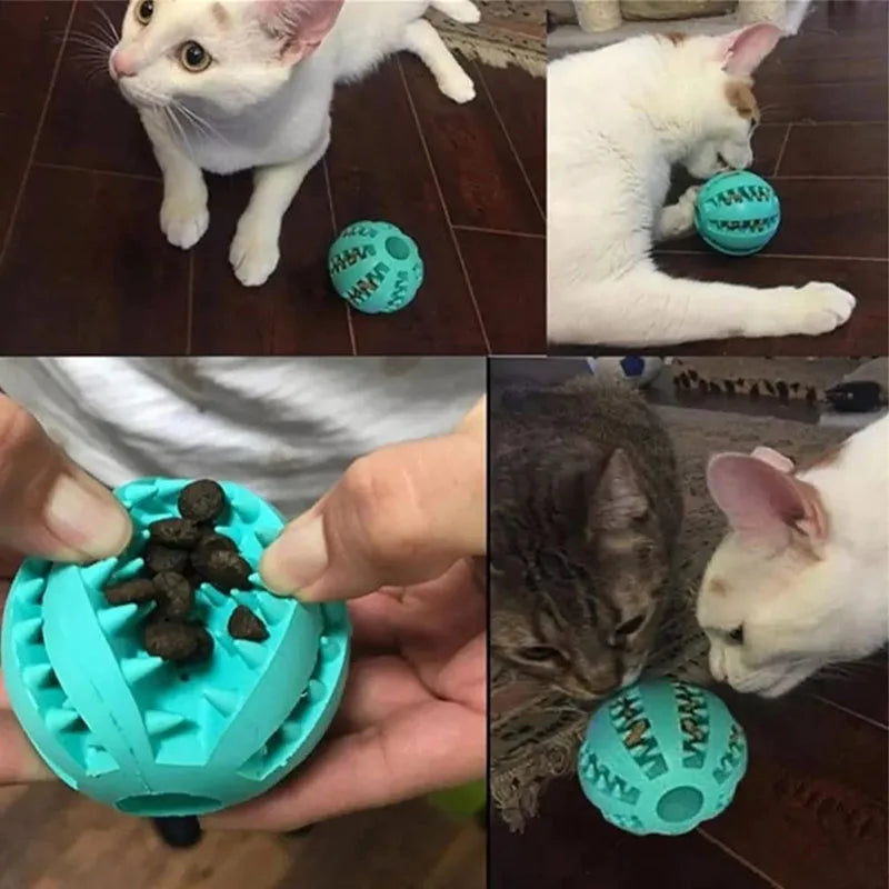 Rubber Chew Ball