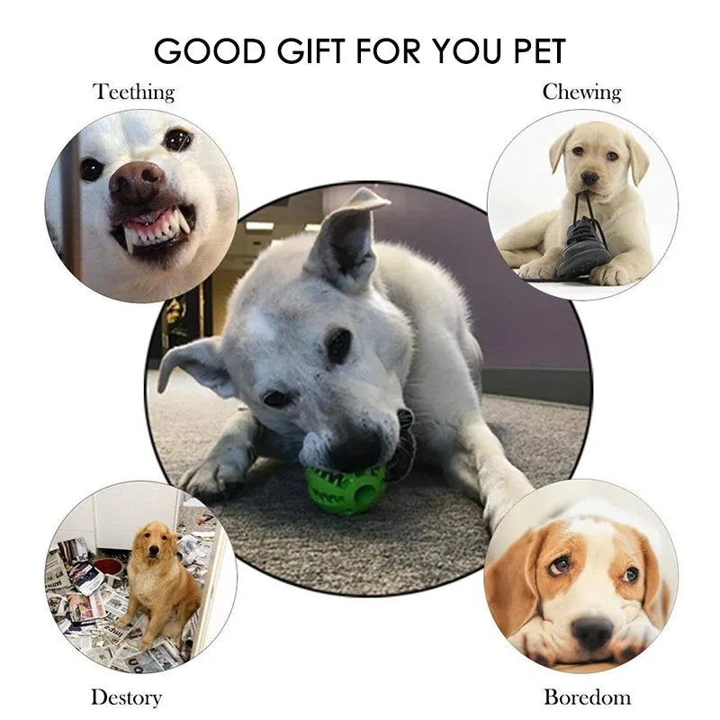 Rubber Chew Ball