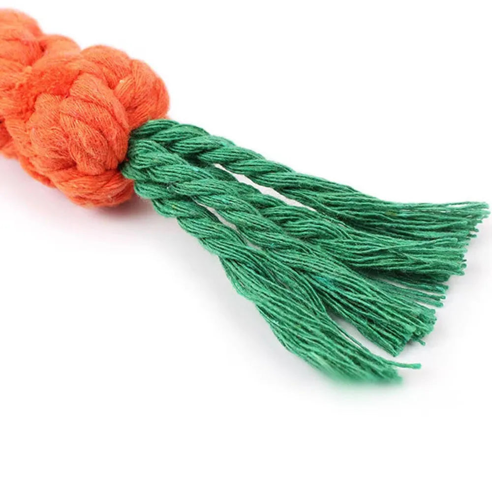 Carrot Dog Rope