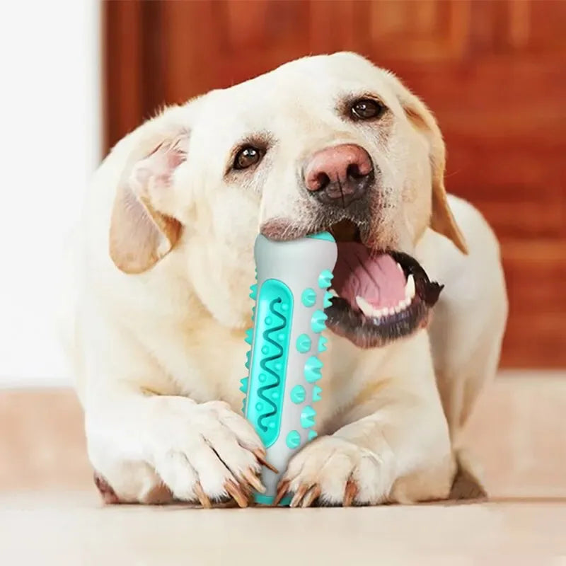 Teething Stick
