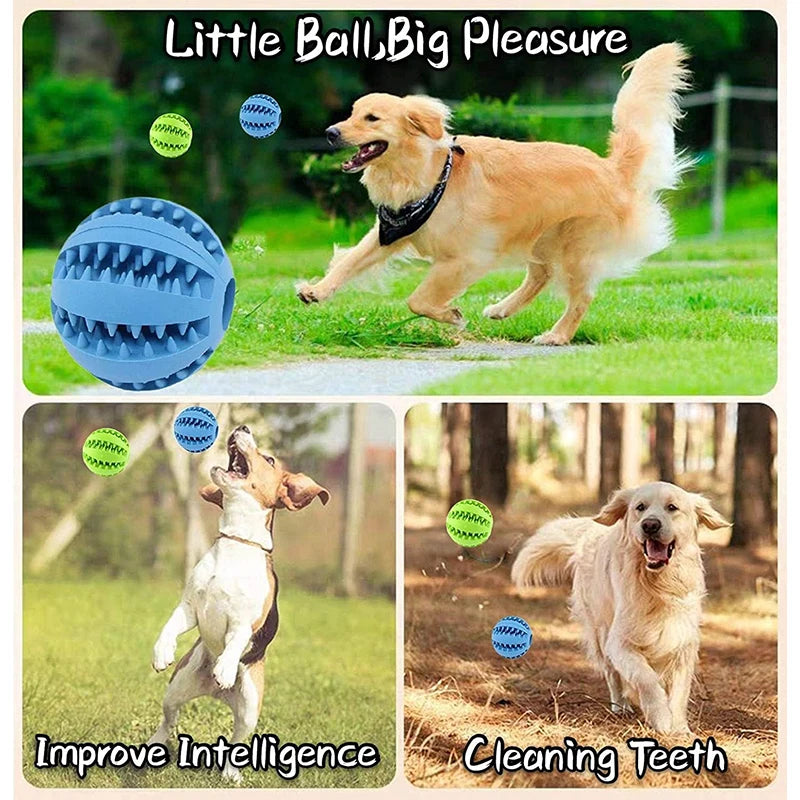 Rubber Chew Ball