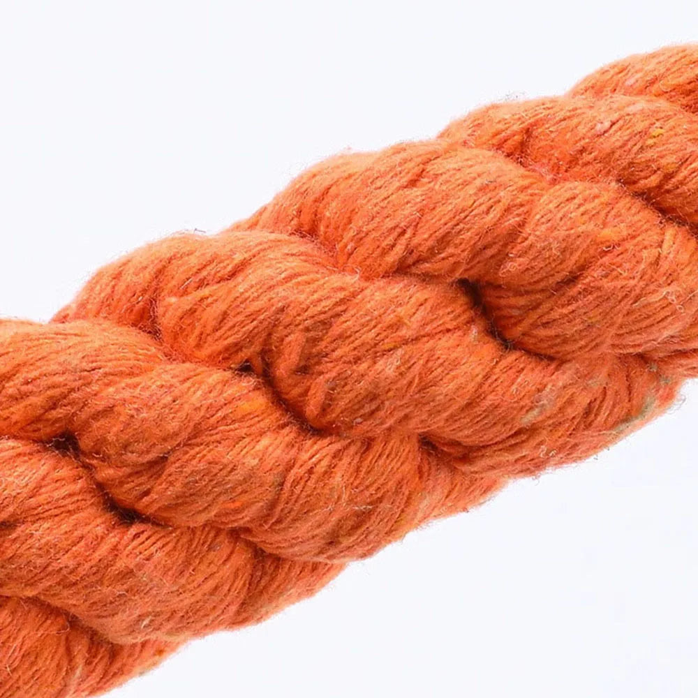 Carrot Dog Rope